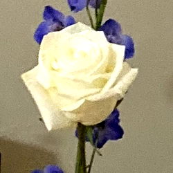 Stacy Stacy Model Photo