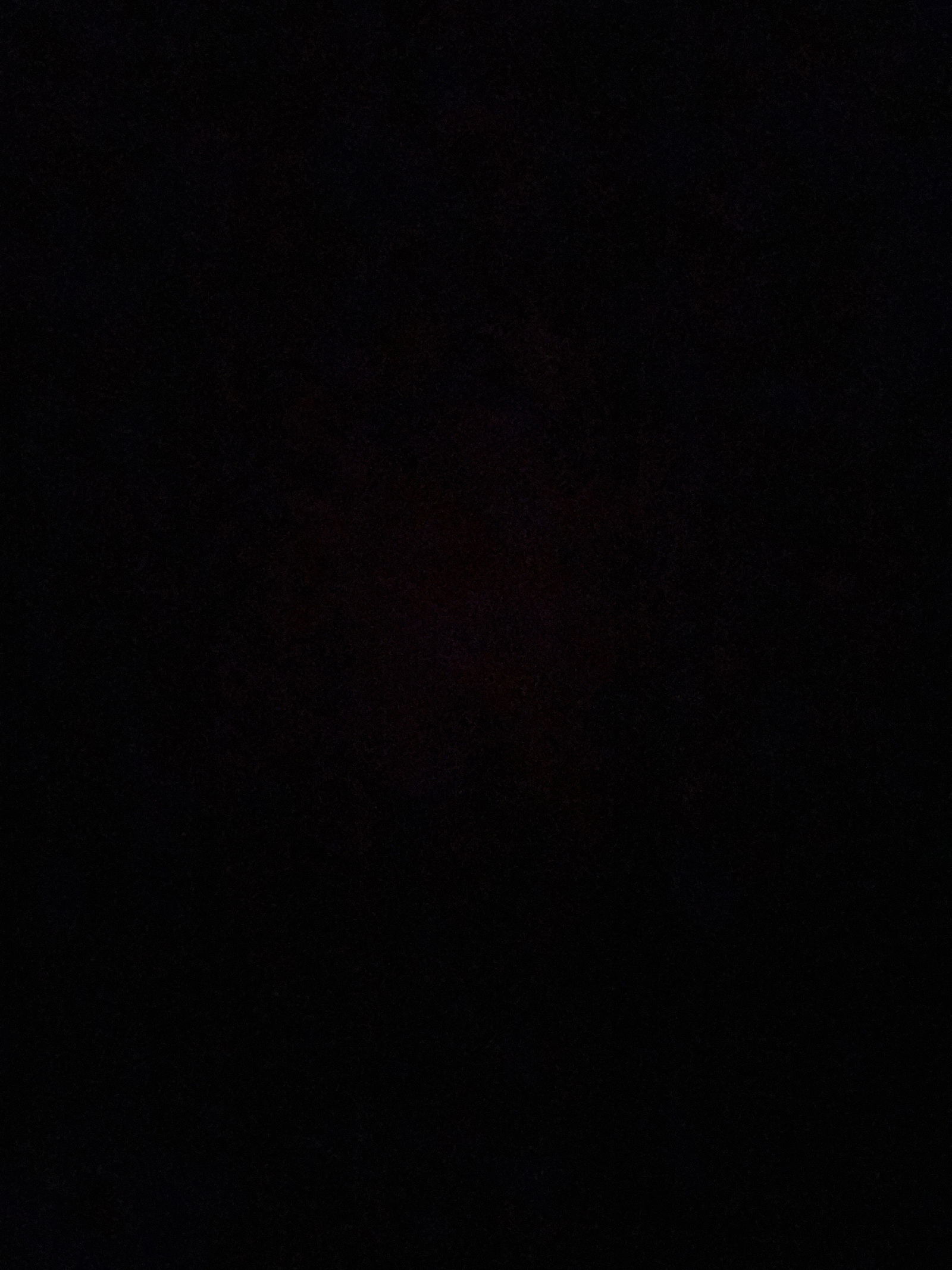 Holiday-Ad5334 photo