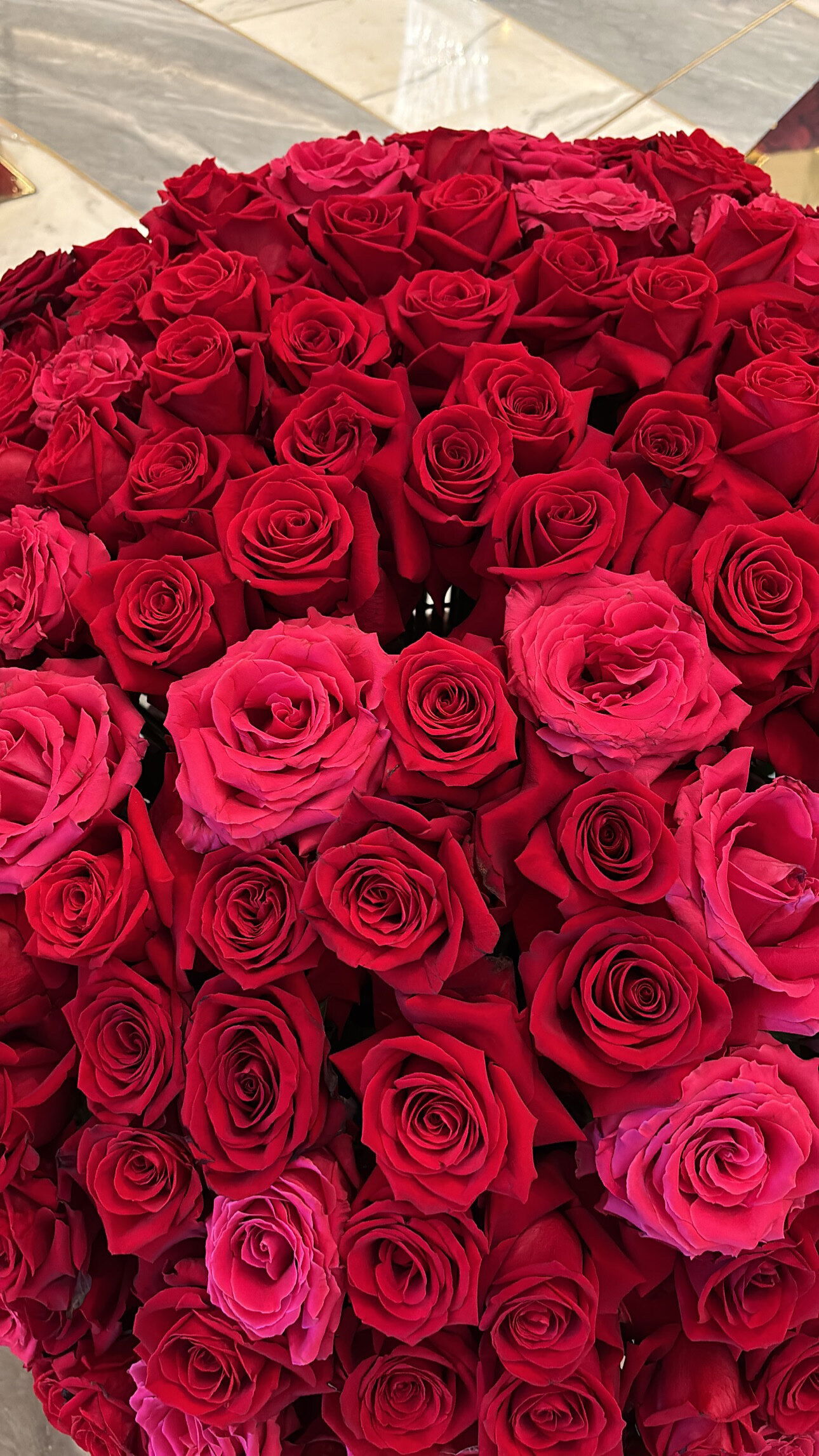 amiri banks 🫦 photo