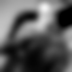 Ricardo Zovitzkey photo