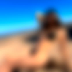 Emily Berry ๐ photo