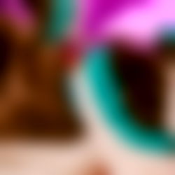 Affogato Husky photo