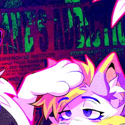 Affogato Husky photo