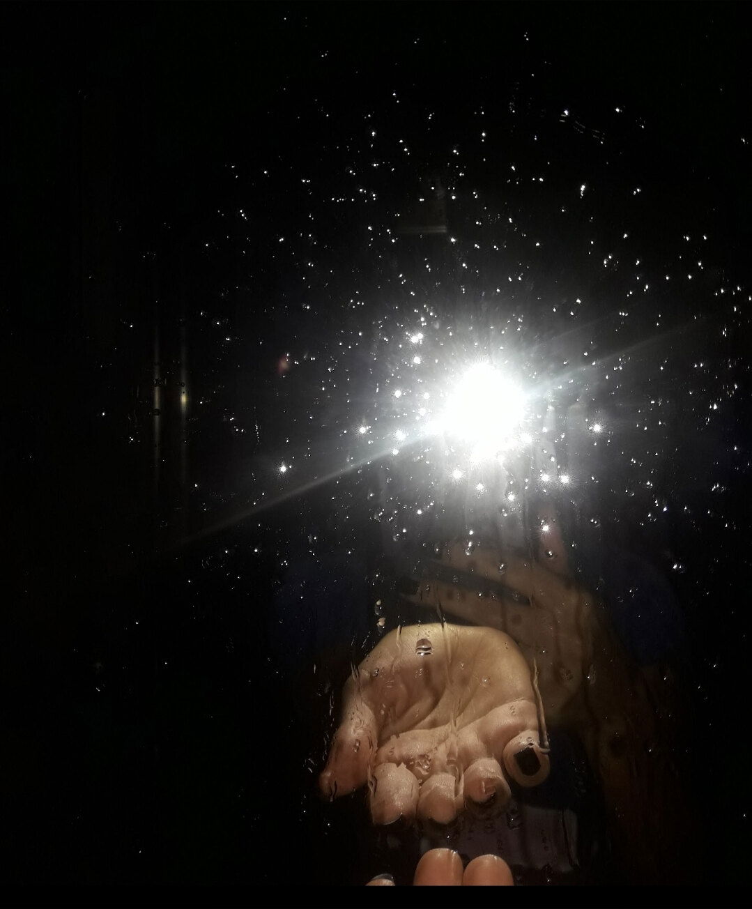 Banessa Enoteka photo