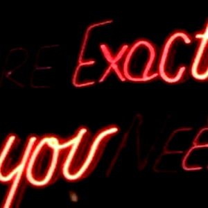 Your Partner In Crime ๐๐ฆ photo