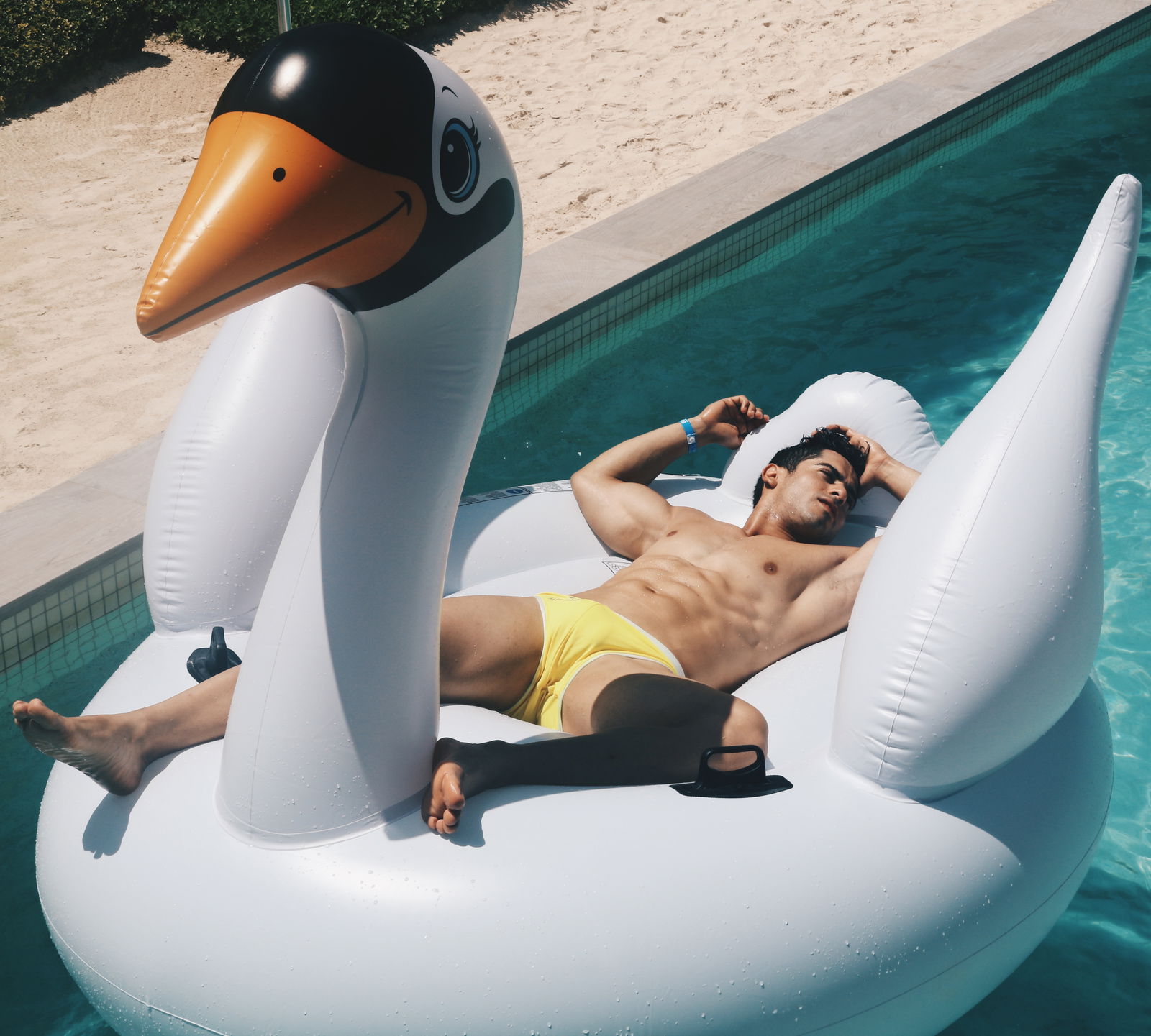 Evan Peix Free photo