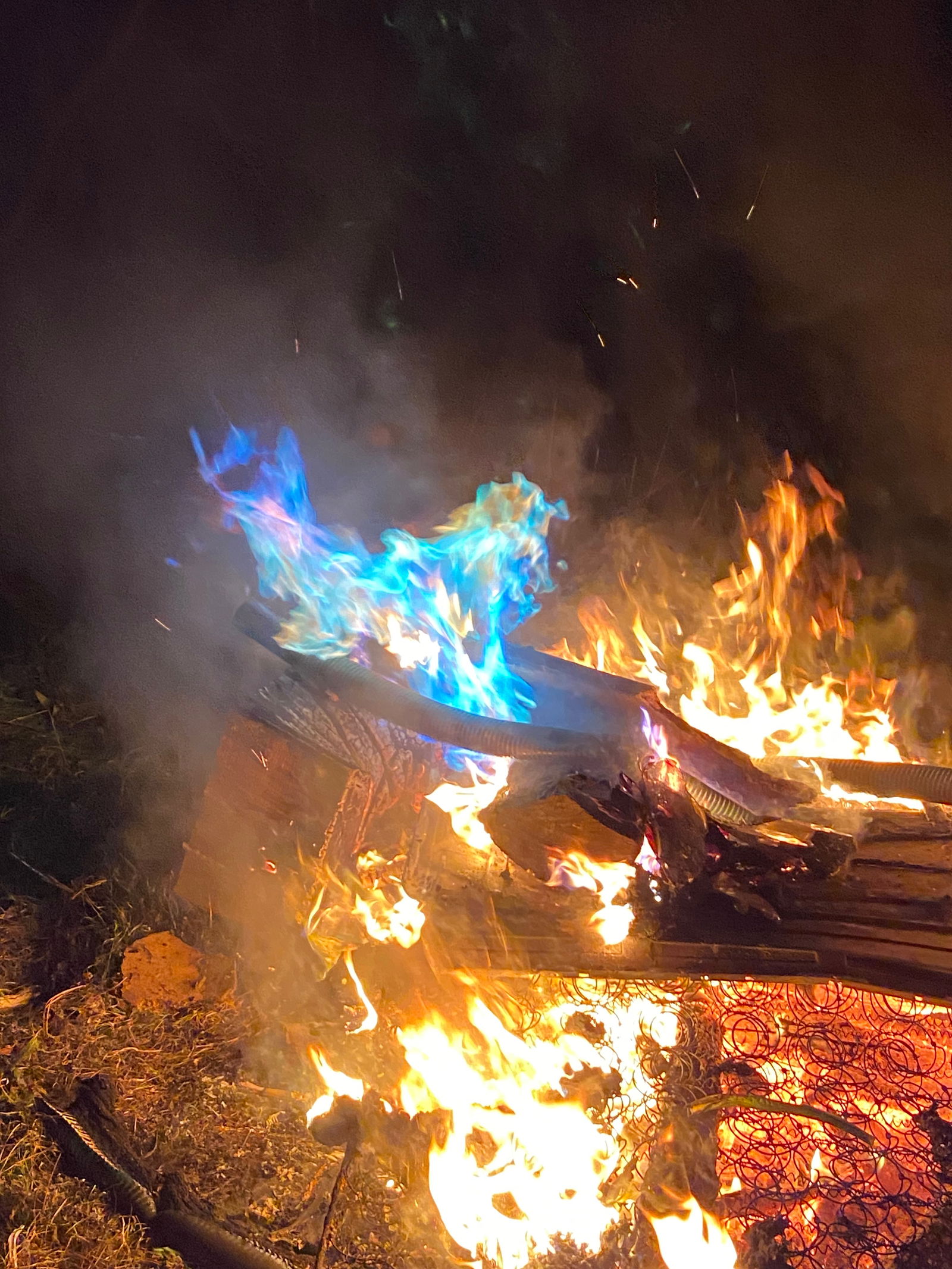 🐰 tease🥰 photo