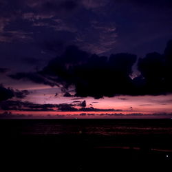 Jared &amp; Rico photo