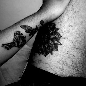 Esteban ๐ฆ photo