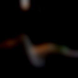 G I N G E R โฎ V I P photo