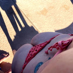 Vanessa the Vixen - Free photo