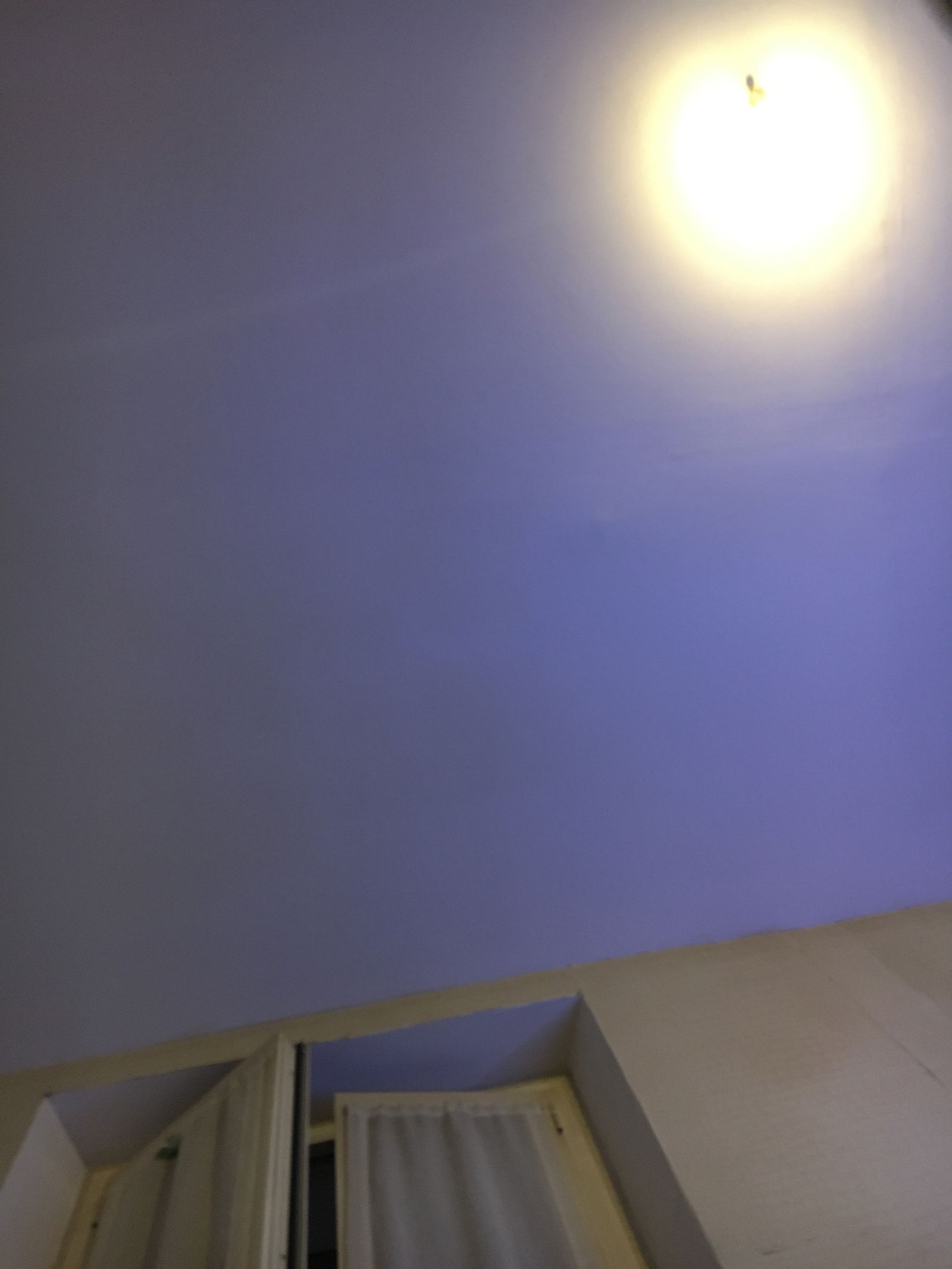 Anna Cherry 🍒 photo