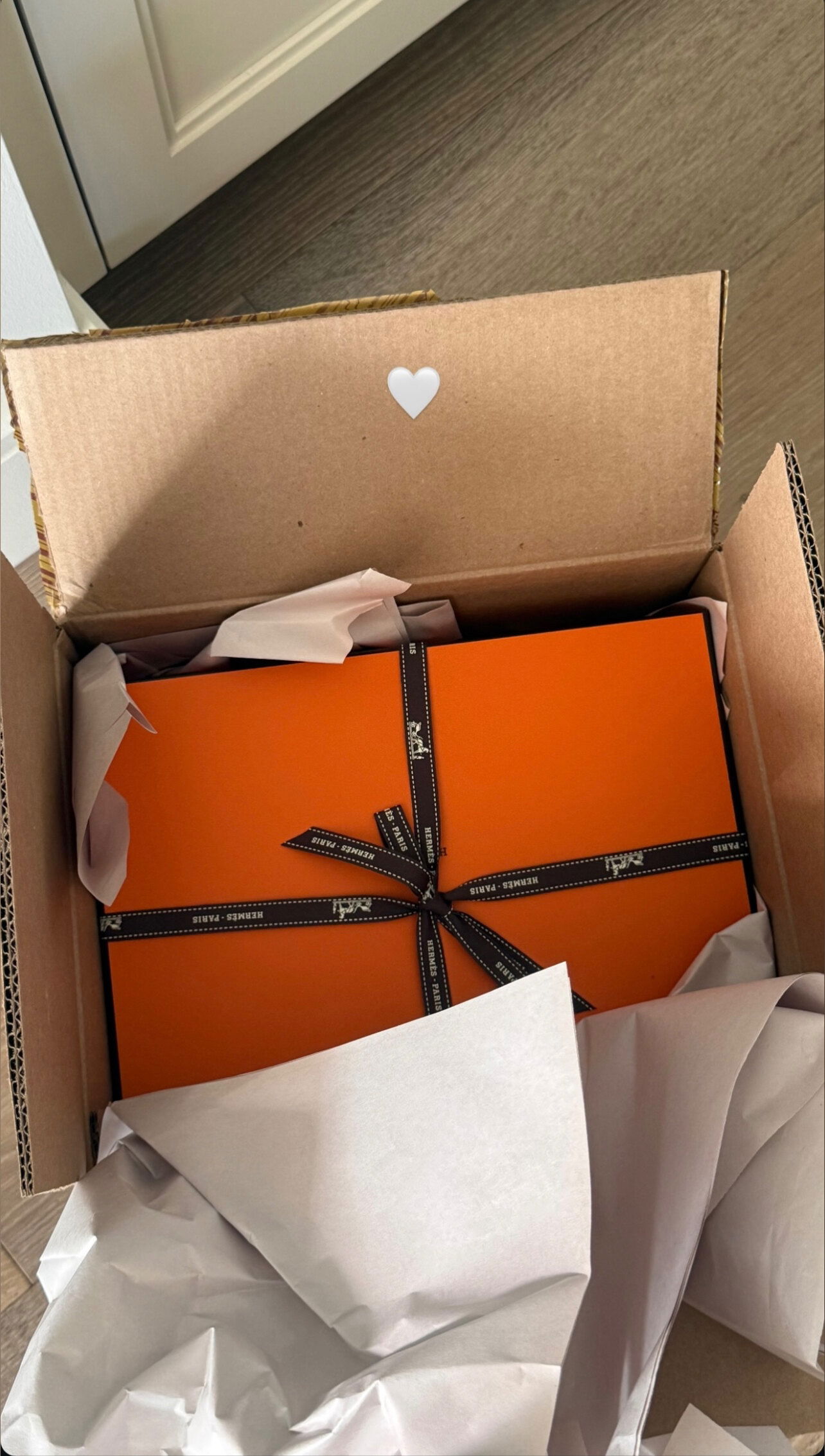 PANAMANIAN 🅿️rincess photo