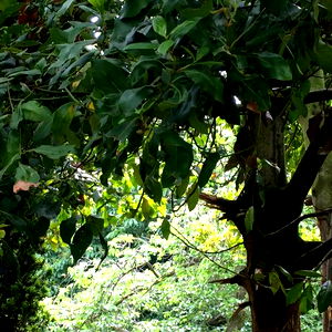 Curtโs Acting Naughty photo