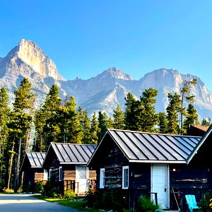 Courtney ๐ฅฅ photo