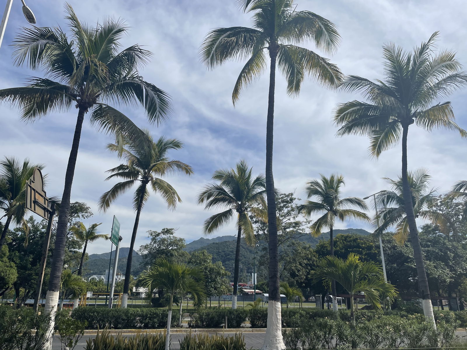 🍒  𝓐𝓵𝓮𝓼𝓼𝓪𝓷𝓭𝓻𝓪 𝓡𝓸𝓳𝓪𝓼 🍒 photo