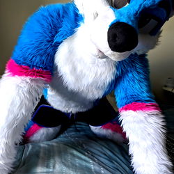 Mell, a Playful OnlyFans Model from Ottawa, Ontario