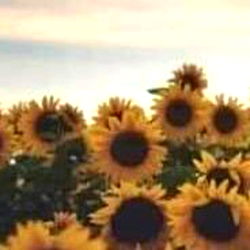 Dayamira Raziel photo