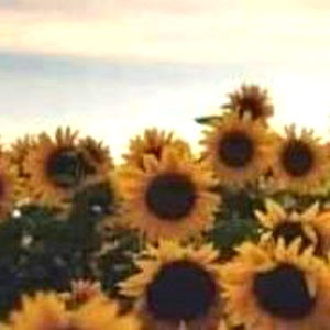 Dayamira Raziel photo