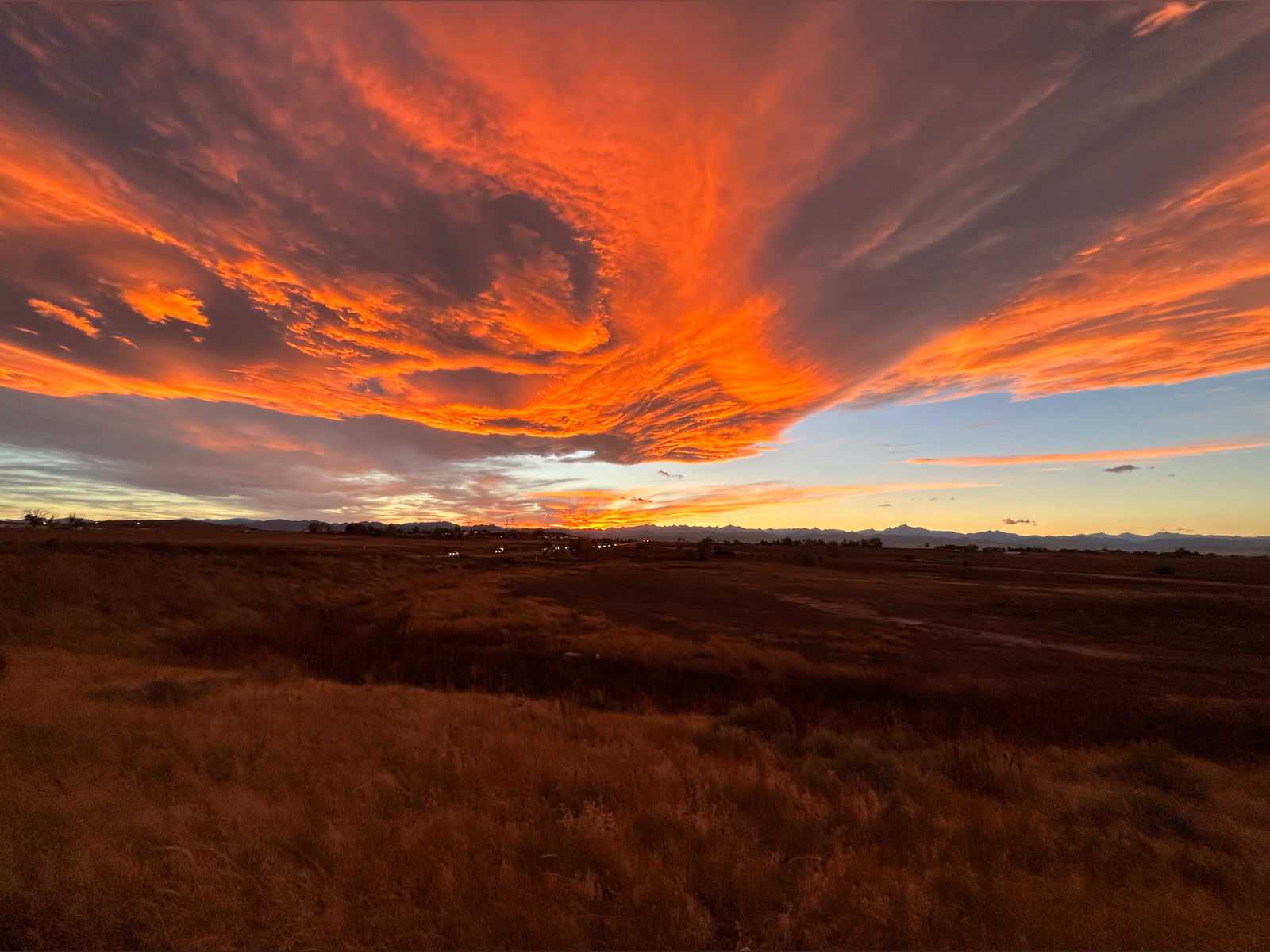 Drake Stone ~ I Am ALPHA…Hear Me Roar! photo