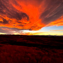 Drake Stone ~ I Am ALPHA…Hear Me Roar! photo