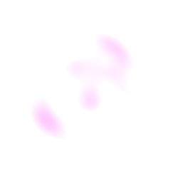 Cali rose ๐น photo