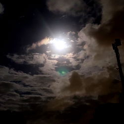 Be my friend, Siera photo