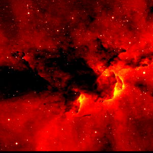 ๐ณ๐๐ฅ๐ถ๐ฝ๐๐พ๐๐๐ณ photo