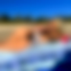 ๐ฌHannah๐ฌ photo