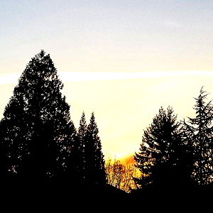 ๐ฟ~Olive~๐ฟ (analgirlforever) photo