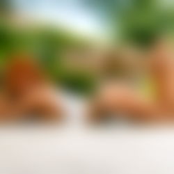 Emily ๐ฆ๐ photo