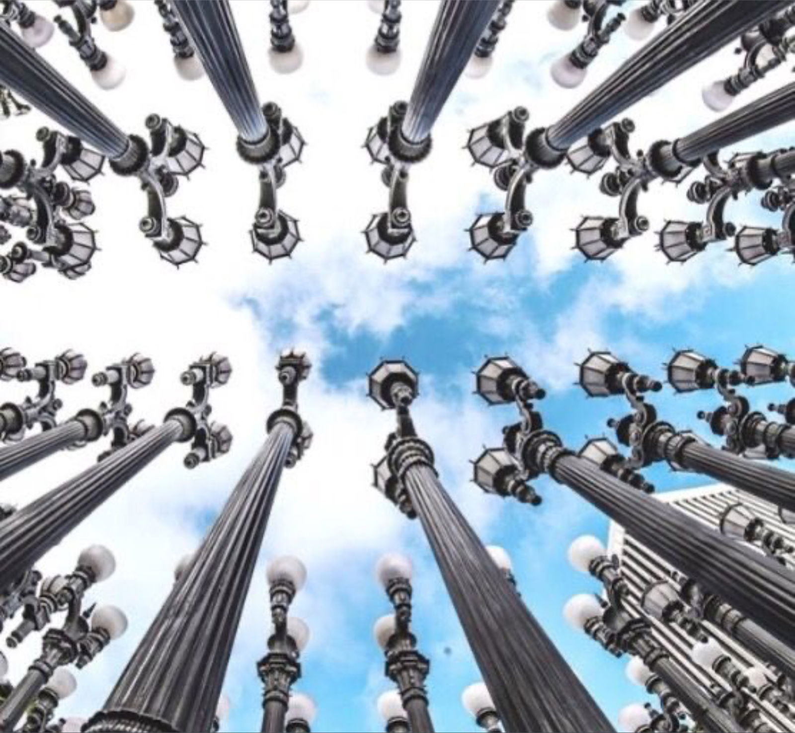 Blu panda 🐼 💙 photo