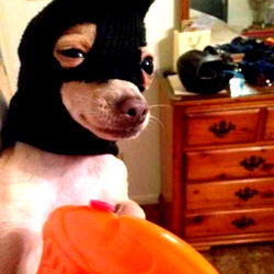 Bigolethang101 photo