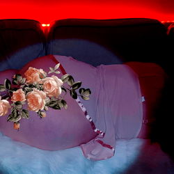 Chelsea Nicole photo