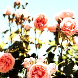 Shh, it’s our secret photo