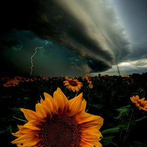 ๐ธ๐๐๐ฅ๐๐ช๐ค๐ฅ โ๐๐ช๐๐ photo