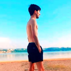 A Serene Shoreline Vista