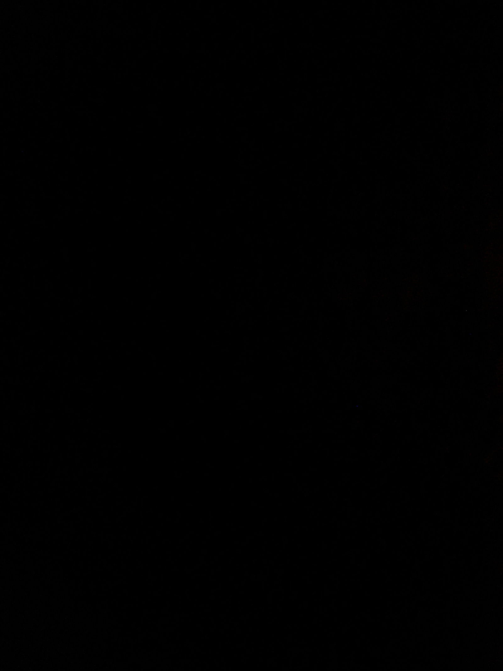 𝐌𝐈𝐆𝐔𝐄𝐋 𝐃𝐈𝐀𝐁𝐋𝐎 photo