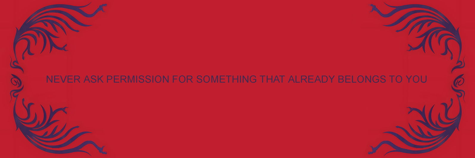 muleke curioso 🇧🇷 photo