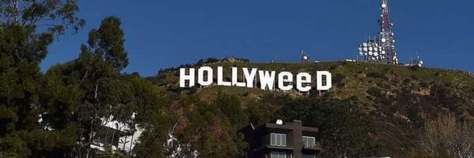 muleke curioso 🇧🇷 photo