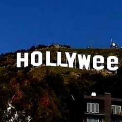 muleke curioso 🇧🇷 photo