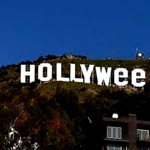 muleke curioso ๐ง๐ท photo