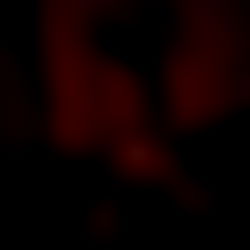 ๐ฆ la illegale ๐ฆ photo