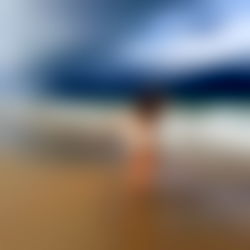 Cindy True Bush photo