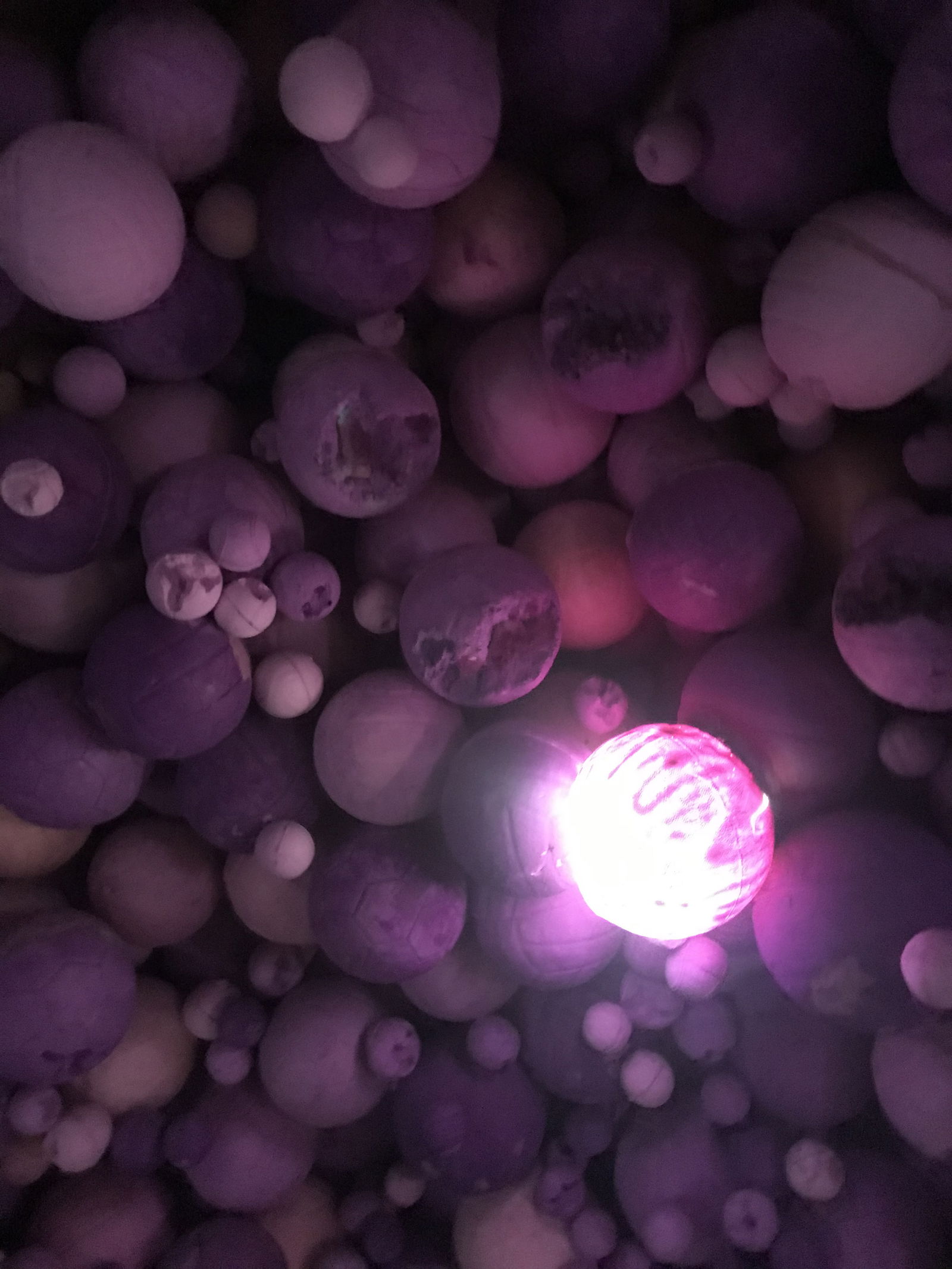 𝚜𝚖𝚘𝚘𝚝𝚑 𝚟𝚒𝚋𝚎𝚜 photo