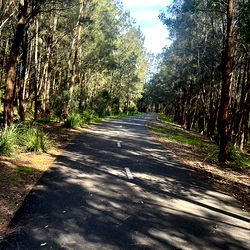 SydneyBoy Road Trip: Exploring the Australian Countryside