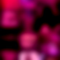 KENDRA PRINCESS photo