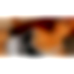 ๐งกTynaya Hล ๐ค TenHope photo