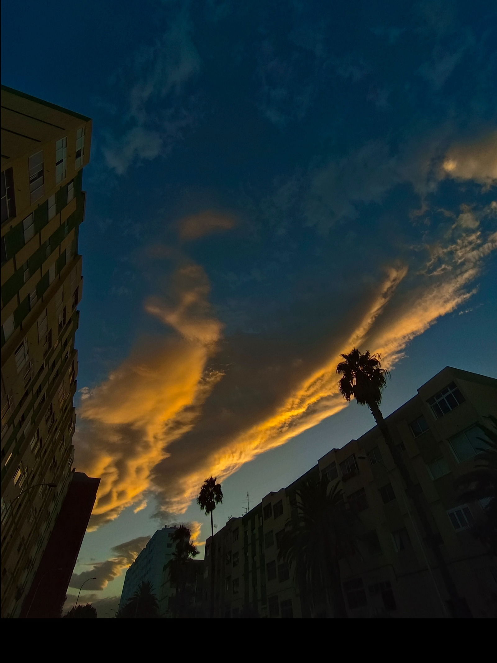 𝓖𝓲𝓰𝓲 photo