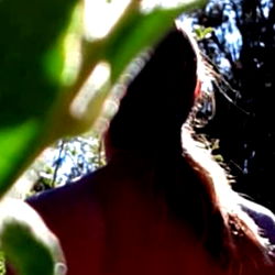 Fitness Model Amidst Nature